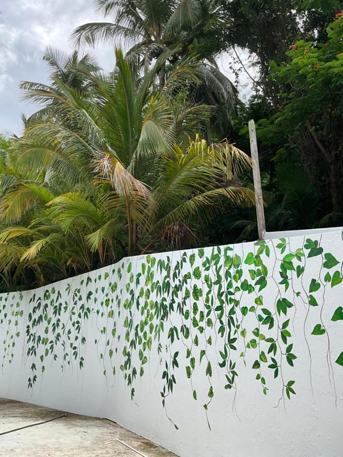 The Serene House Bed & Breakfast Luquillo Buitenkant foto