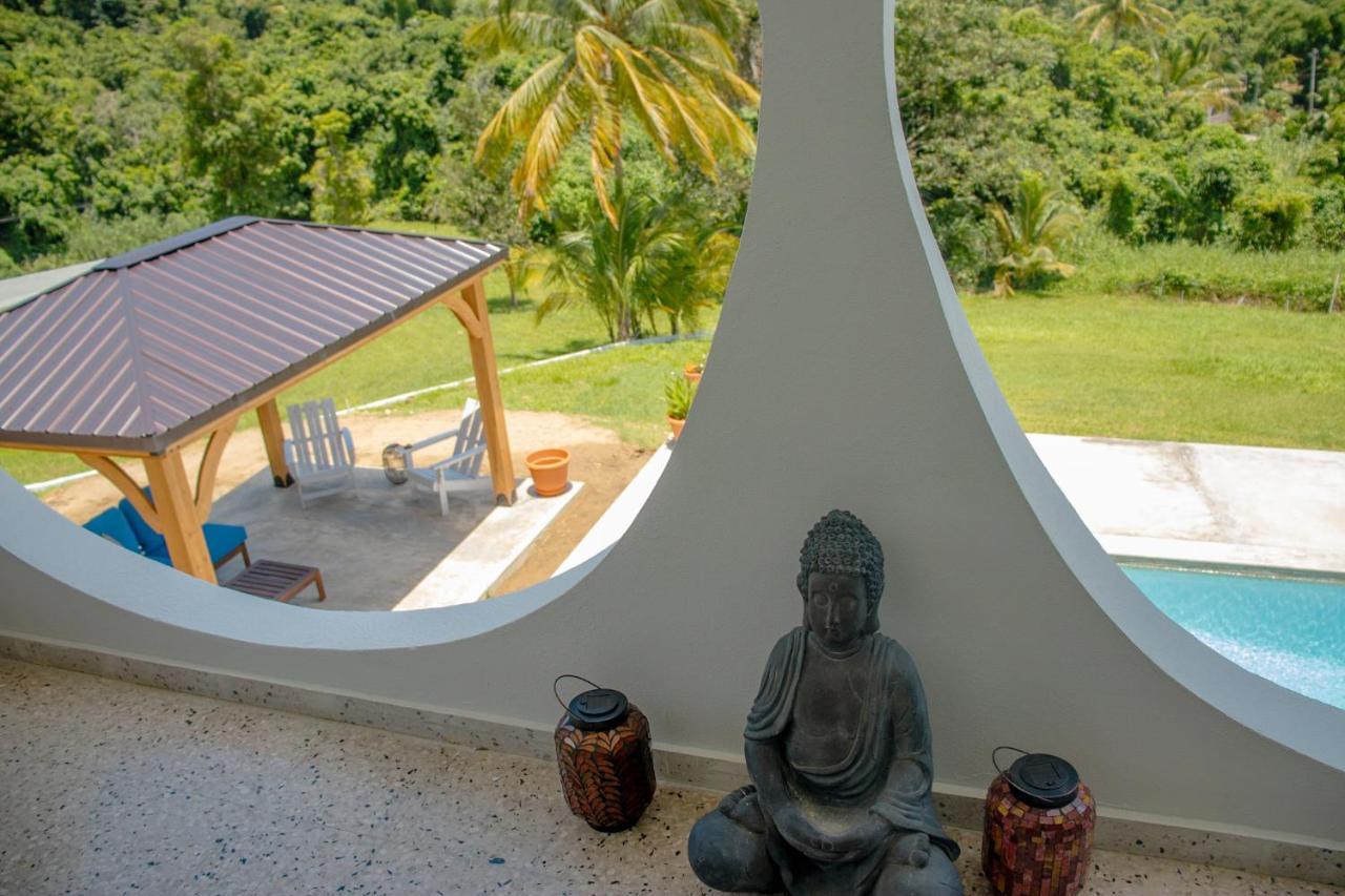 The Serene House Bed & Breakfast Luquillo Buitenkant foto