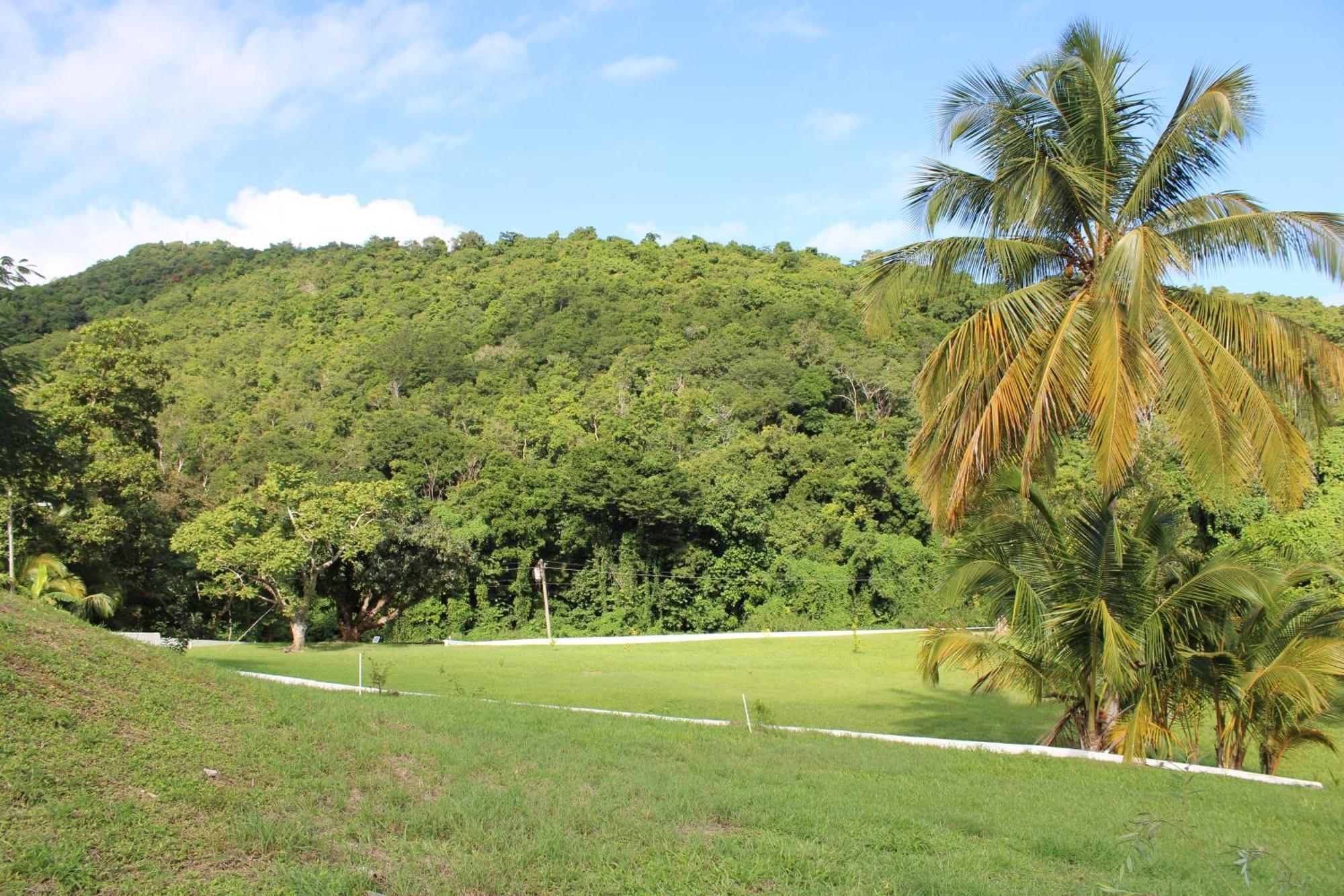 The Serene House Bed & Breakfast Luquillo Buitenkant foto