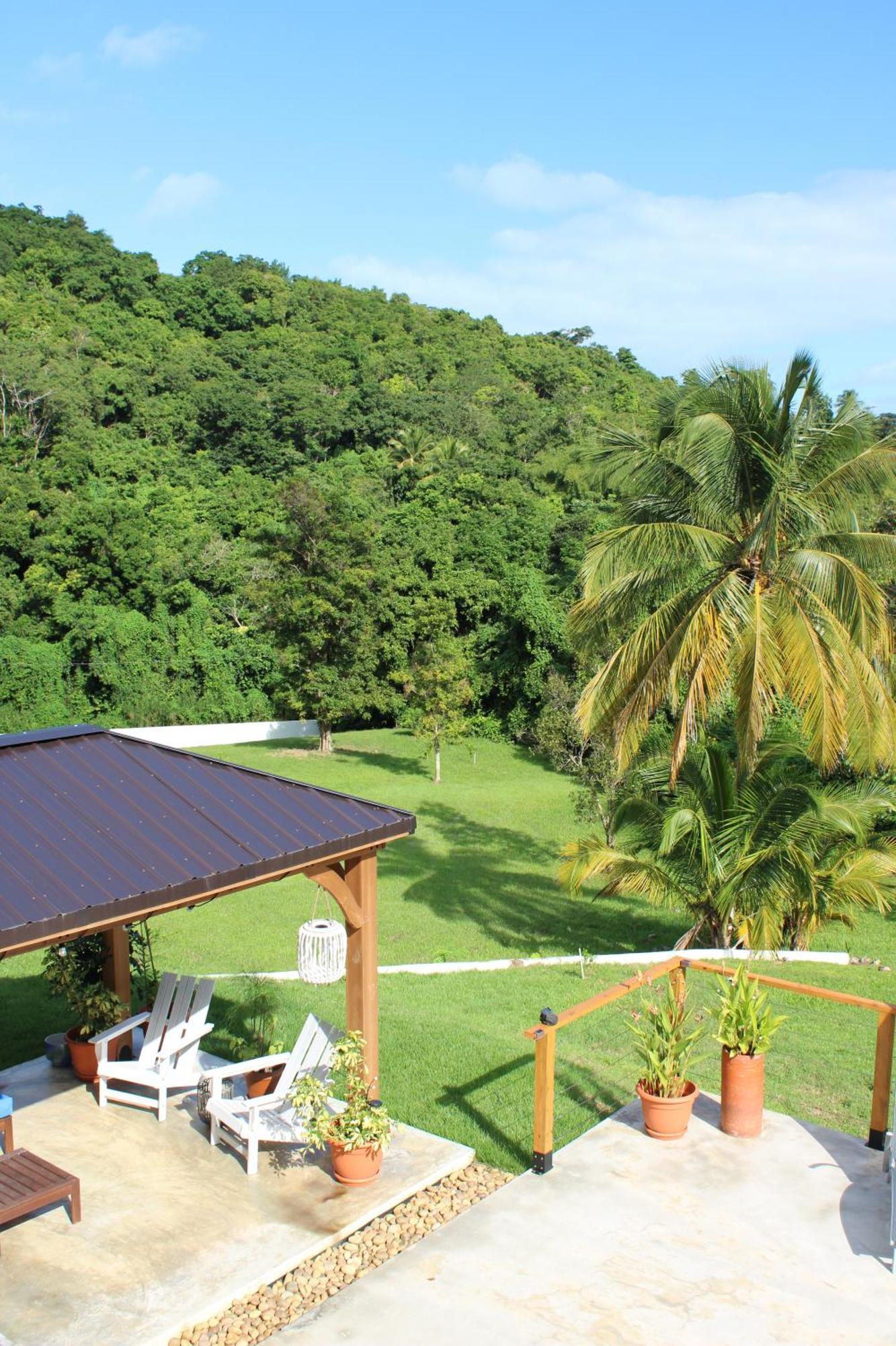 The Serene House Bed & Breakfast Luquillo Buitenkant foto