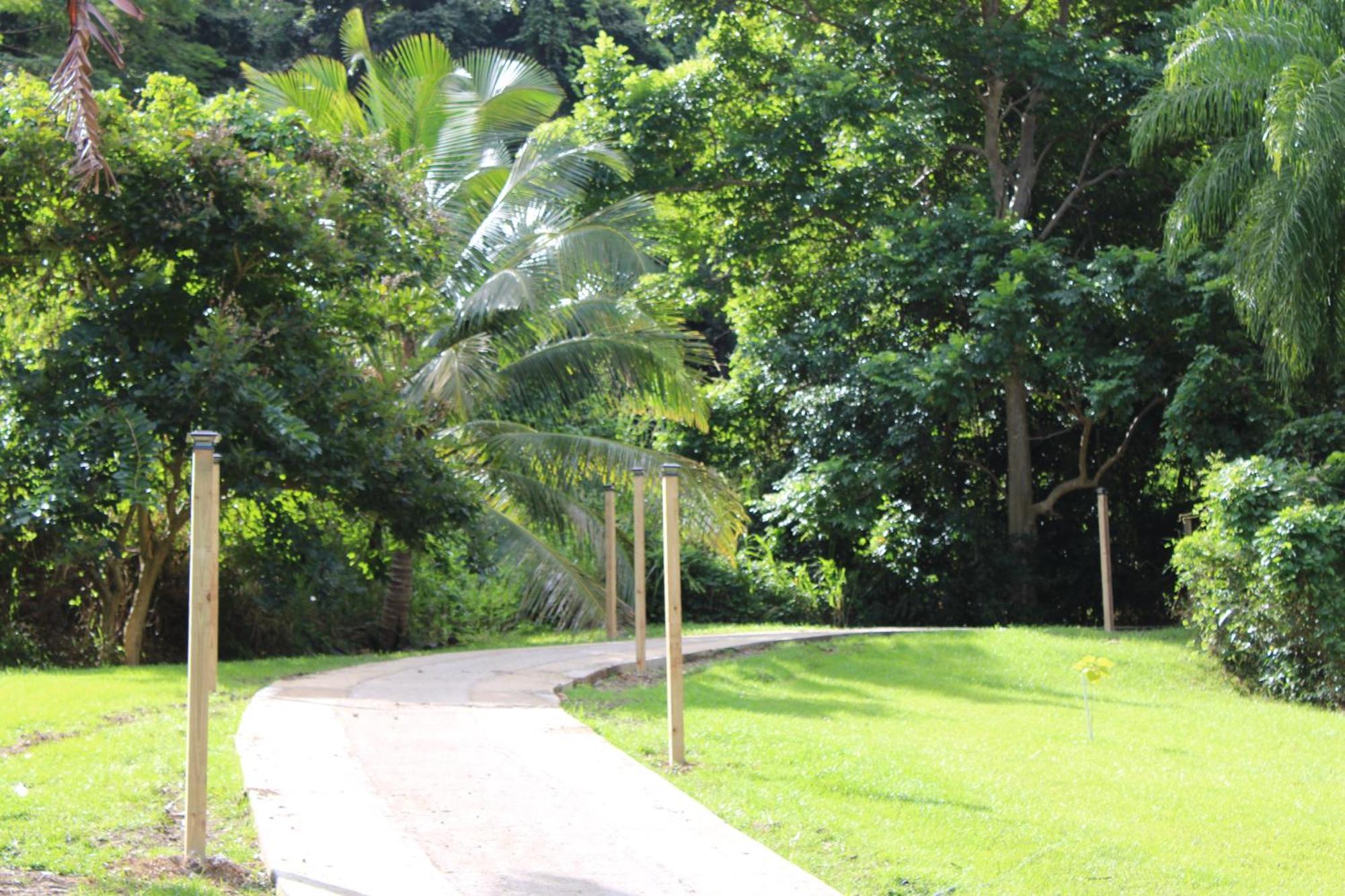 The Serene House Bed & Breakfast Luquillo Buitenkant foto